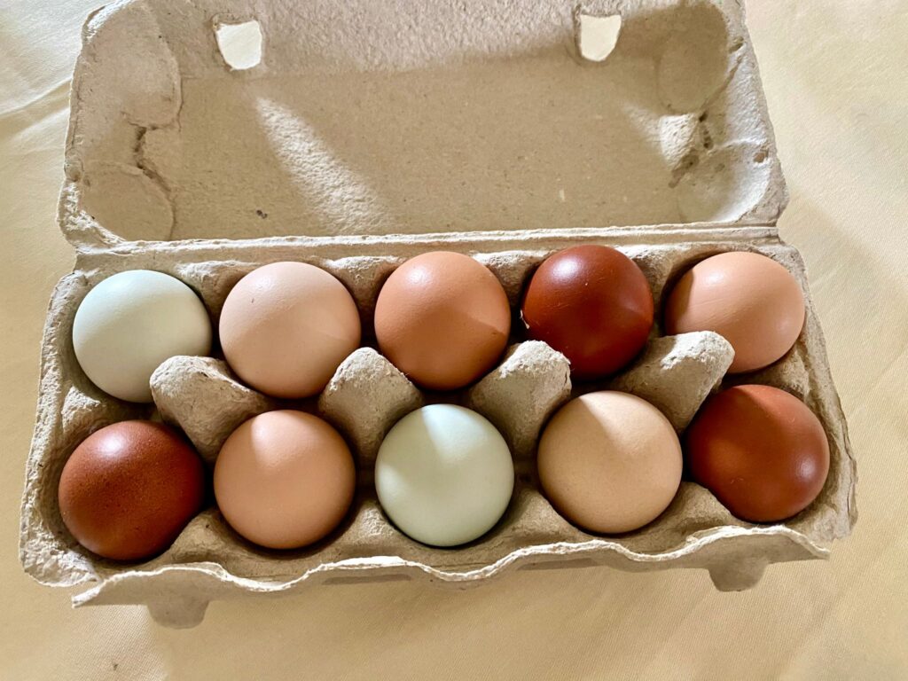 Box with Chicken Eggs in different Colors