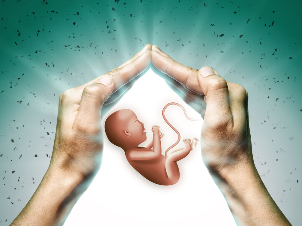 Two hands on green background with embryo in center.